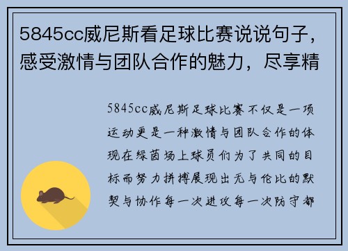 5845cc威尼斯看足球比赛说说句子，感受激情与团队合作的魅力，尽享精彩瞬间与胜利的喜悦