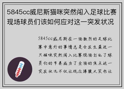 5845cc威尼斯猫咪突然闯入足球比赛现场球员们该如何应对这一突发状况