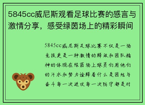 5845cc威尼斯观看足球比赛的感言与激情分享，感受绿茵场上的精彩瞬间与团队精神